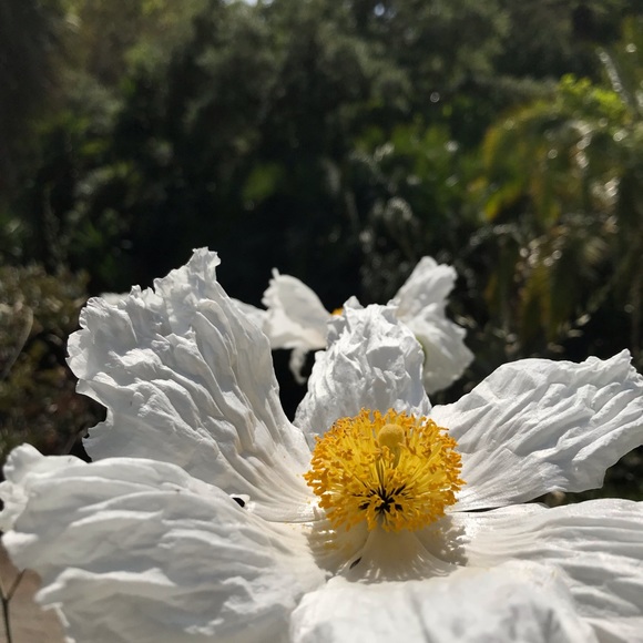 meet your posher 💕 - Picture 3 of 5